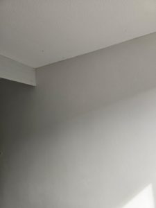 IMG-20241019-WA0013