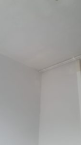 IMG-20241019-WA0035
