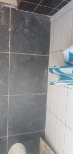IMG-20241019-WA0040