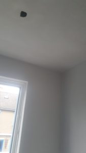 IMG-20241019-WA0050